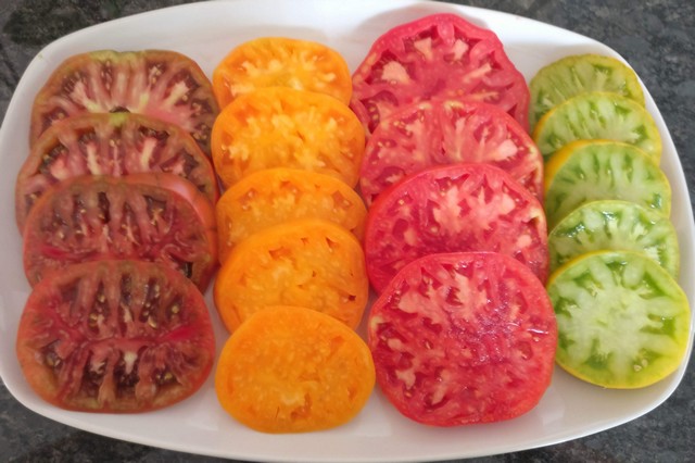 Tomatoes from the garden of our guest house in The Loire Valley