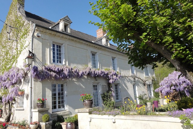 Our guest house decorated with wisteria in bloom in Indre and Loire