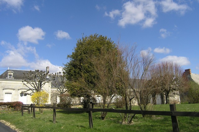Beautiful properties in the Loire Valley