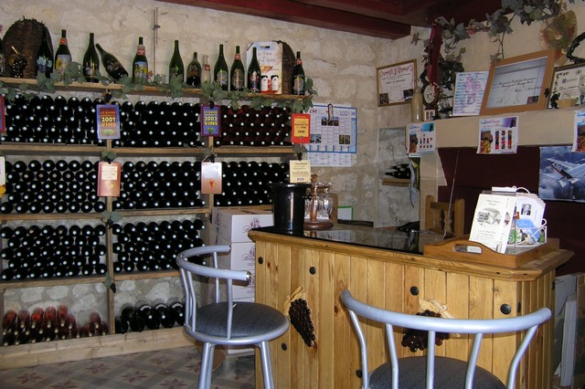 Visita de las Bodegas de vino de Bourgueil
