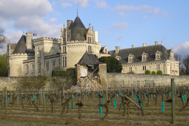Finca vinícola en el Valle del Loira