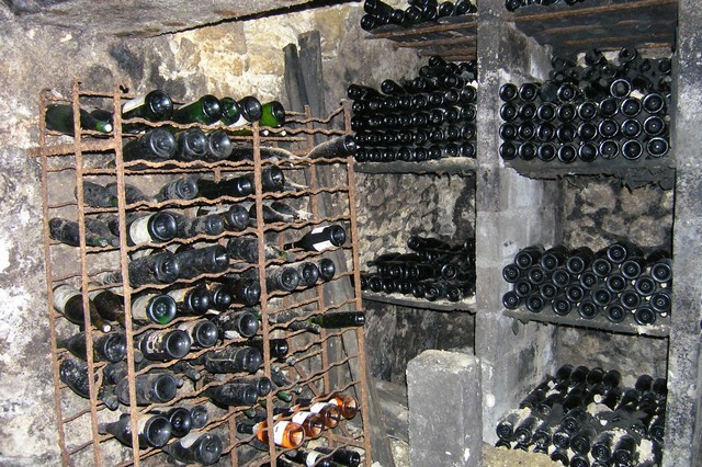 Visite et dégustation des vins de Bourgueil
