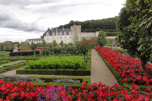 visite et decouverte des jardins du châteaux Villandry en Val de Loire
